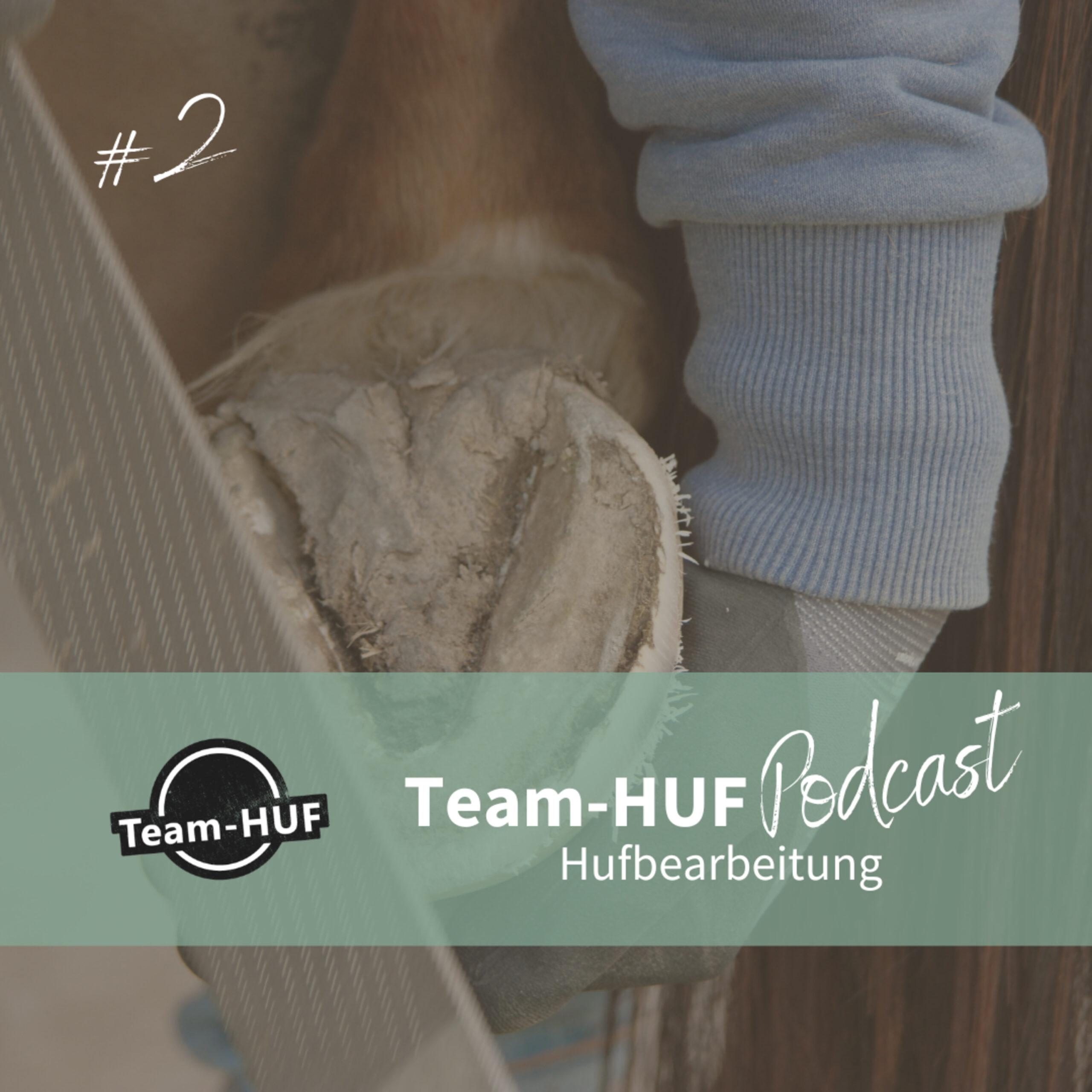 Mehr über den Artikel erfahren Folge 2: Ein paar andere Ideen zur Hufbearbeitung