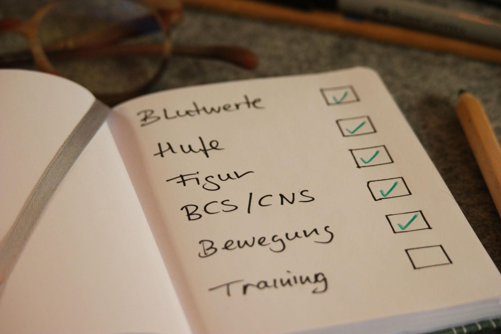 Hufrehe Kompaktkurs Ursachen Verstehen Nachhaltig Handeln hufrehe-kompaktkurs-ursachen-verstehen-nachhaltig-handeln