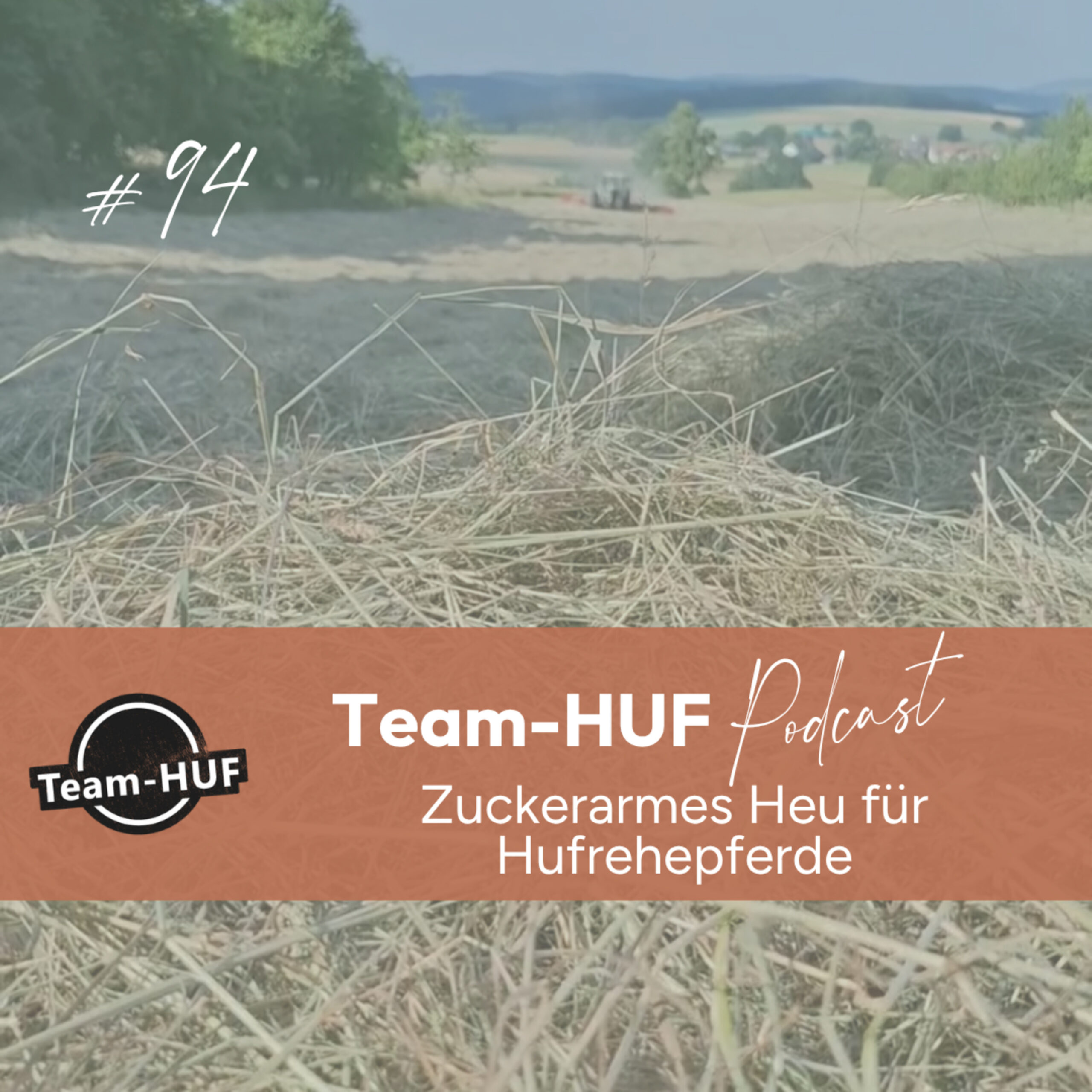 Mehr über den Artikel erfahren Folge 94: Zuckerarmes Heu für Hufrehepferde