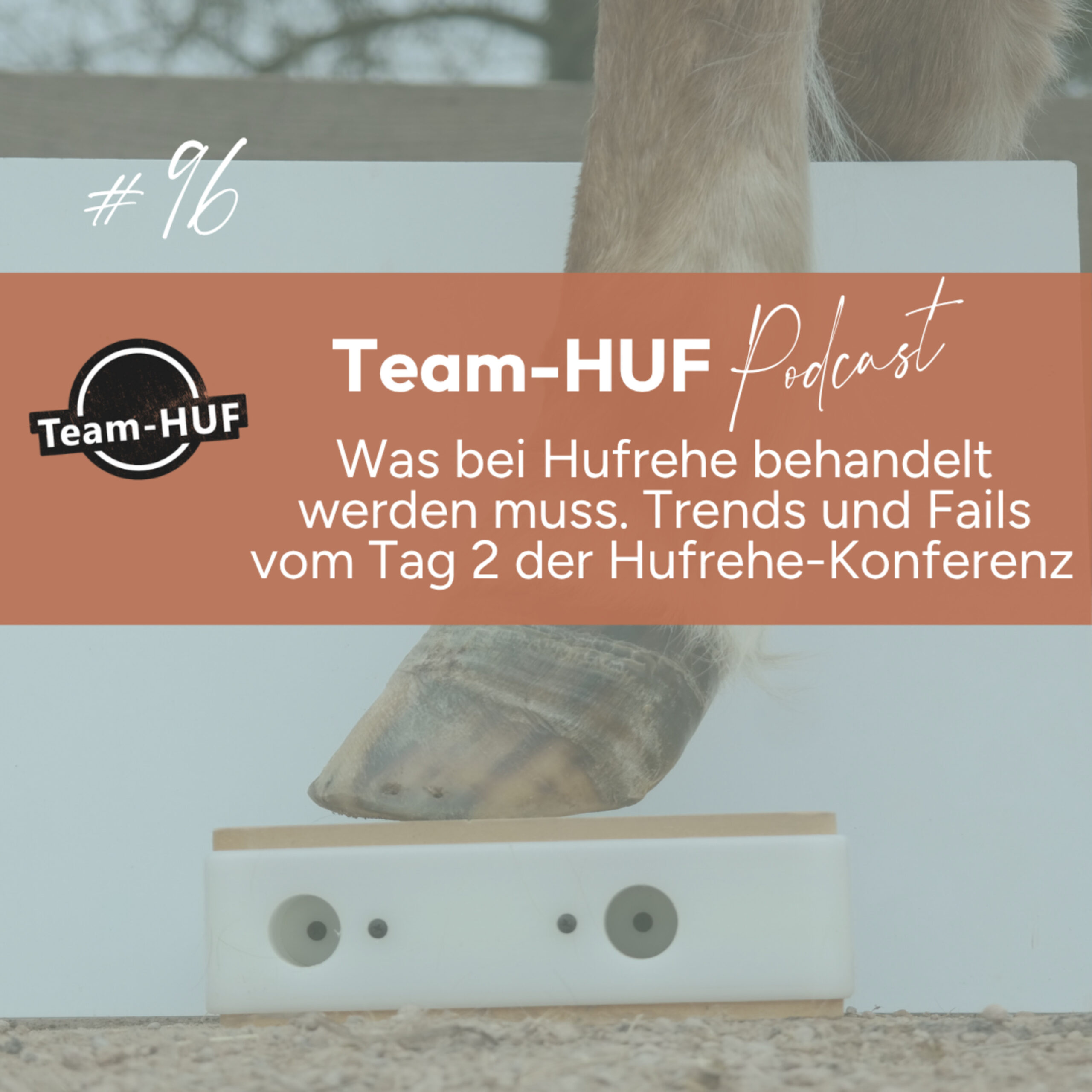 Mehr über den Artikel erfahren Folge 96: 360° Hufrehe: Tag 2 Der Hufrehe-Konferenz