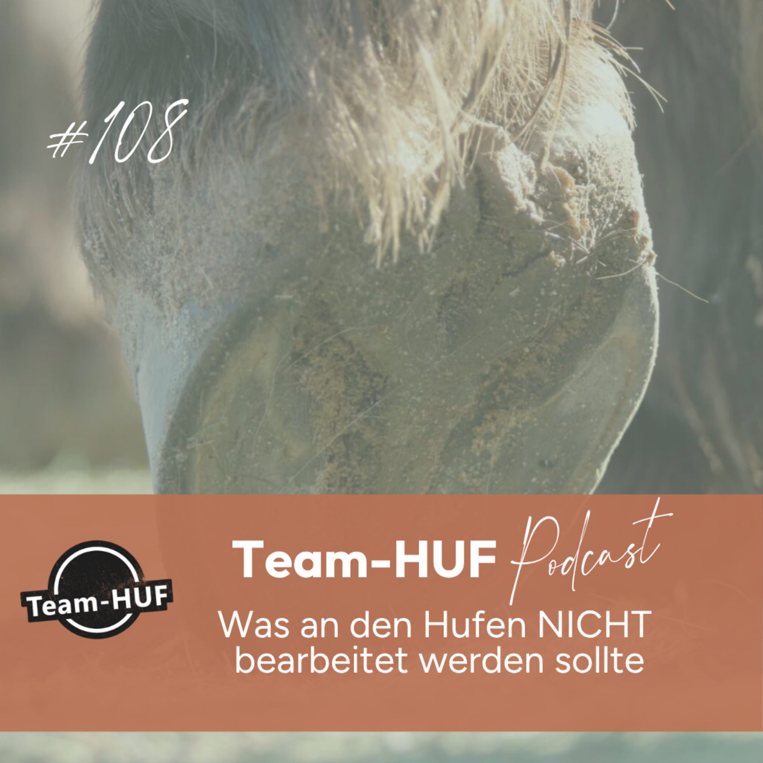 Du betrachtest gerade Folge 108: Was an den Hufen NICHT bearbeitet werden sollte