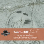 Team-HUF Podcast