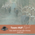 Folge 126: Update und Ausblick – von den wilden Ponies und uns