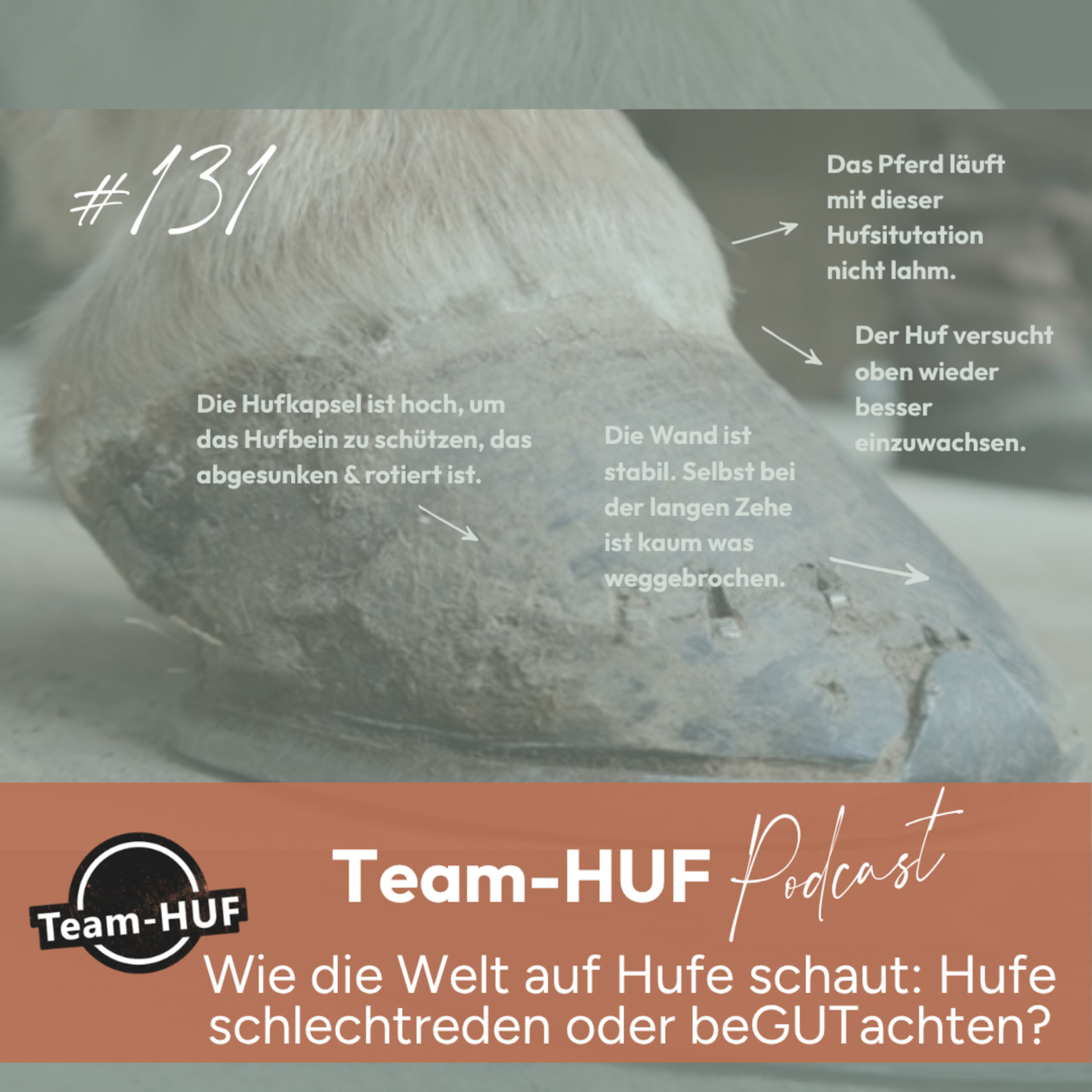 Team-HUF Podcast