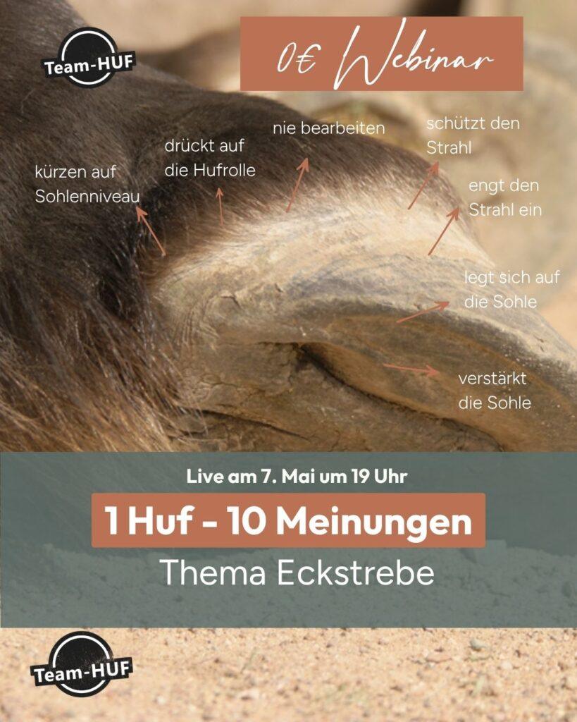 Ankündigung_LaunchWebinar ISO_Mai26
