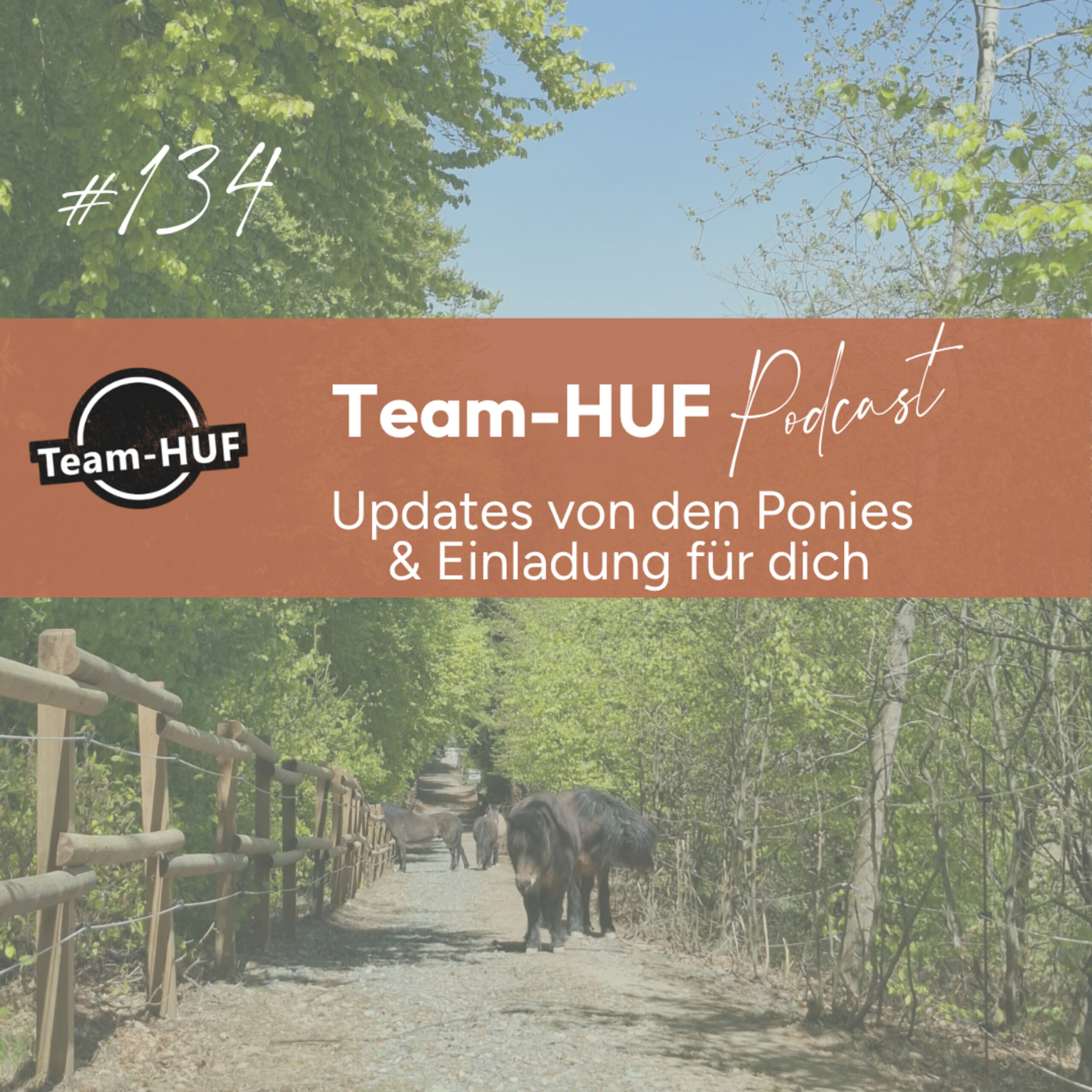 Mehr über den Artikel erfahren Folge 134: Umzugsupdates, Hufentwicklungen und Einladung für dich