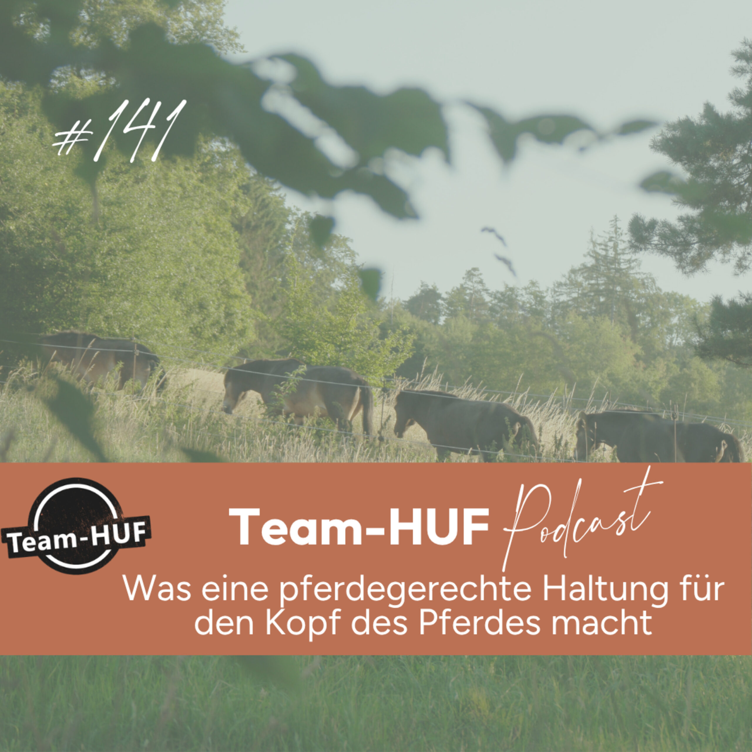Du betrachtest gerade Folge 141: Wie Pferdehaltung den Kopf des Pferdes und das Sicherheitsgefühl beeinflusst.