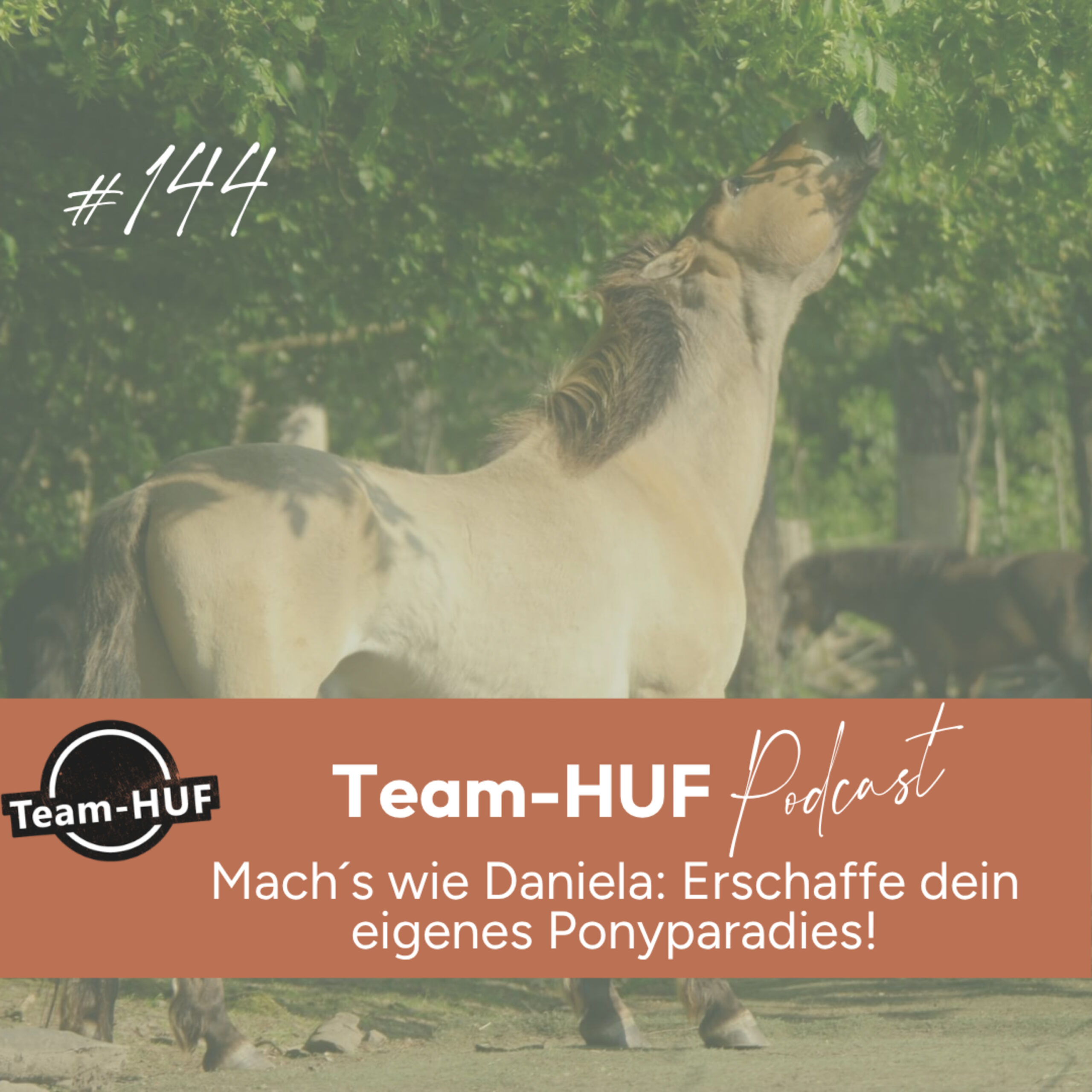 Du betrachtest gerade Folge 144: Mach´s wie Daniela: Erschaffe dein eigenes Ponyparadies!
