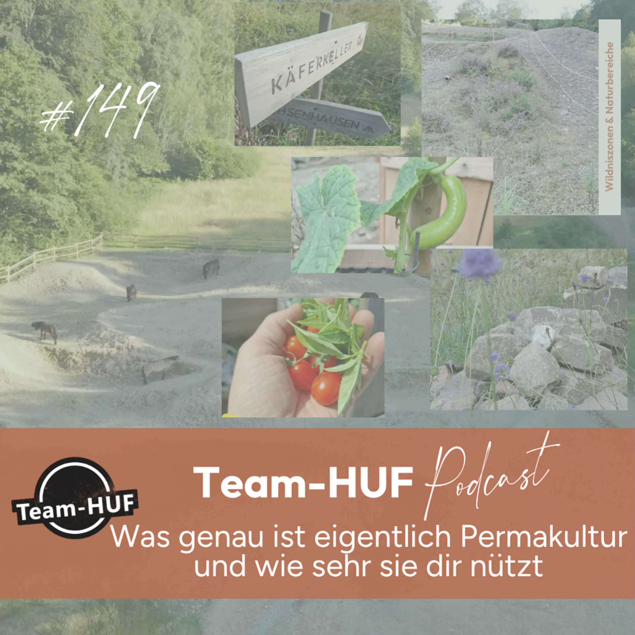 Du betrachtest gerade Folge 149: Was ist Permakultur überhaupt? Und was nützt sie in meiner Pferdehaltung?