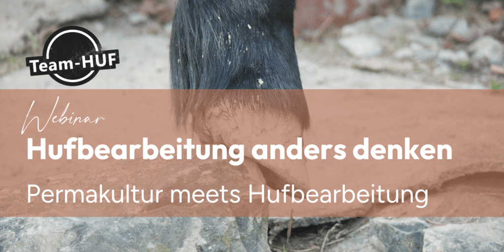Webinar Hufbeareitung anders denken